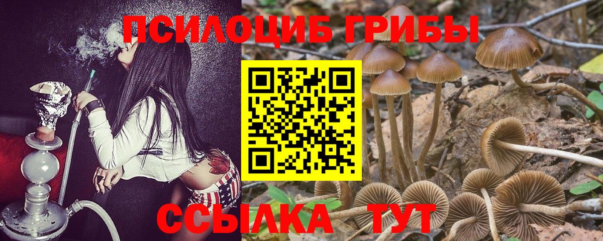 Галлюциногенные грибы Cubensis Орск