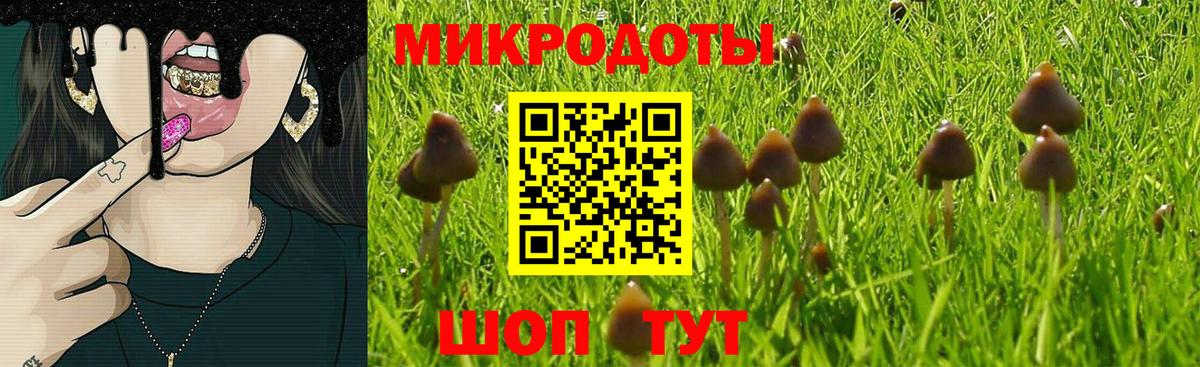 Галлюциногенные грибы Psilocybine cubensis  что такое   Галлюциногенные грибы Magic Shrooms  Орск  Вход с VPN 